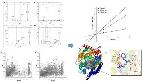 江南大學研究團隊在白酒糟生物活性肽合成技術研發領域取得重要突破