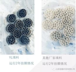 裕隆環保 裕龍活性生物填料，十六載創新路，匠心鑄就水處理新引擎