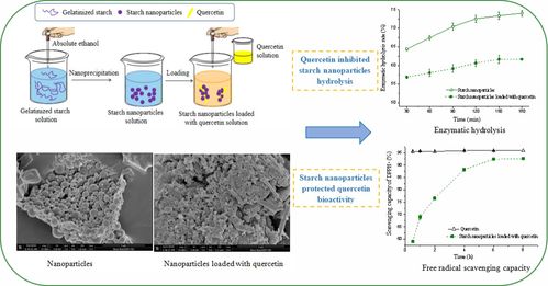 合成技術研發 西北農林科技大學食品科學與工程學院的創新引擎